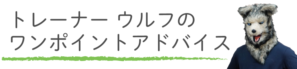 FitStormウルフアドバイス1